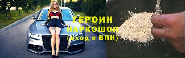 прущие грибы Новокубанск