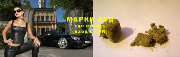 амф Нея