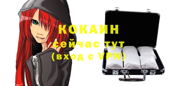 спиды Новозыбков