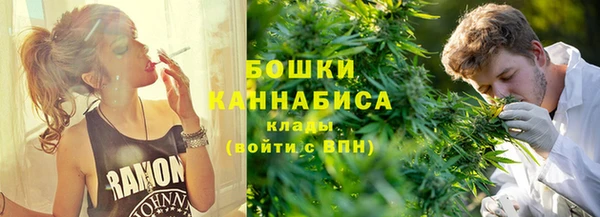 прущие грибы Новокубанск