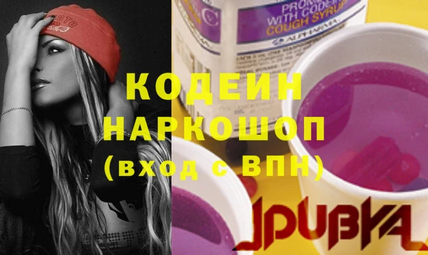 спиды Новозыбков