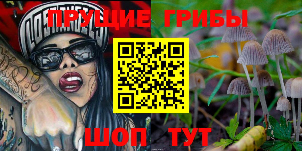 Псилоцибиновые грибы мухоморы  Вход с VPN  Псилоцибиновые грибы Magic Shrooms  Туймазы 